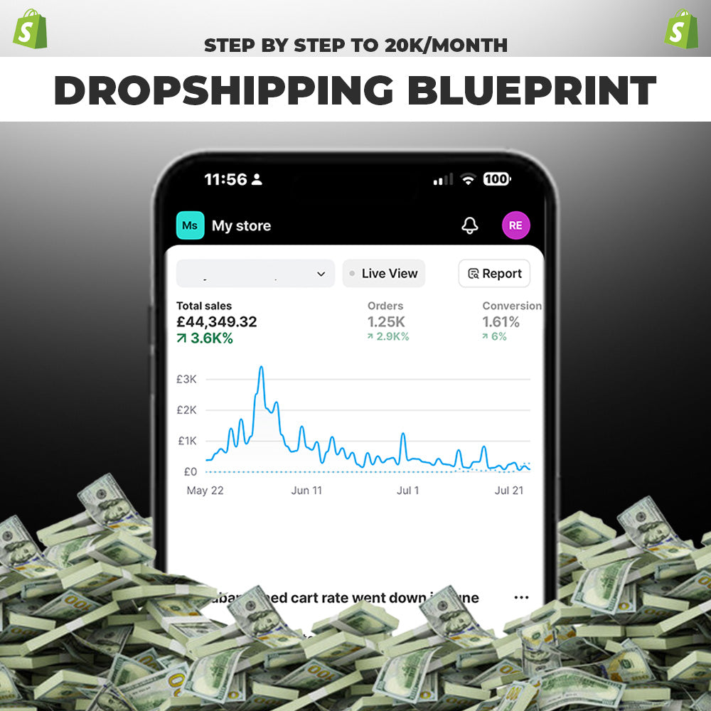 Dropshipping Blueprint